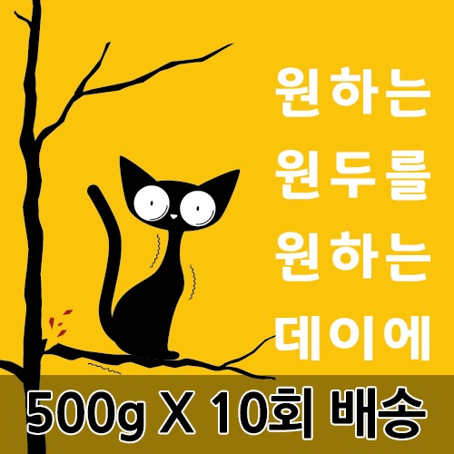 [원두데이 정기배송] 10회 X 500g